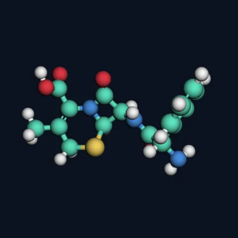 Cephalexin