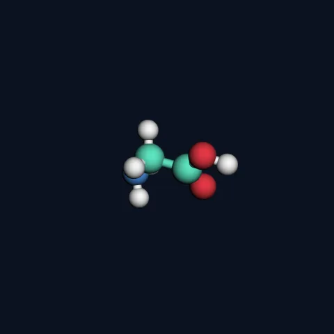 Glycine (NT)