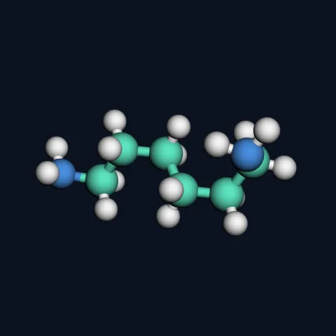 Hexamethylenediamine