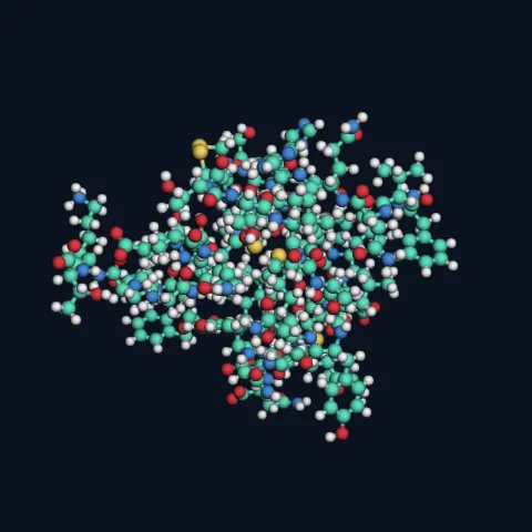 Insulin