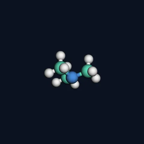 Trimethylamine